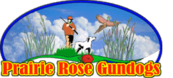 Prairie Rose Gundogs Home - Click Here